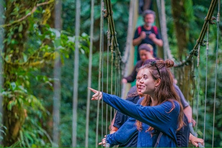 Tropical Rainforest, Hanging Bridges And Jungle Sloths Sanctuary - Photo 1 of 25